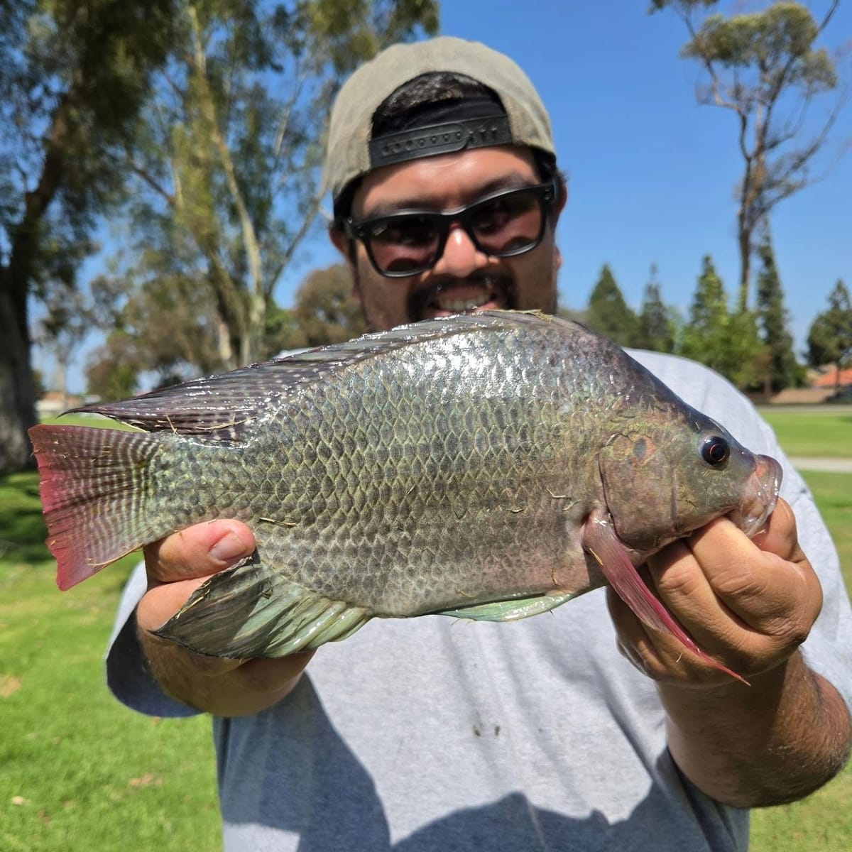 Fishing Trout Busters for Tilapia
